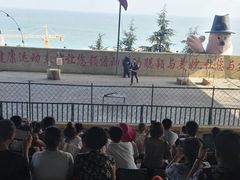-东方熊牧场