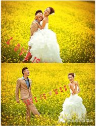 -施华洛婚纱摄影会所(范阳中路店)