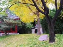 -中山公园