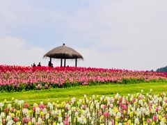 -径山花海