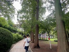 -狼山风景名胜区