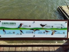 -五缘湾湿地公园