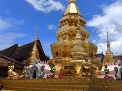 -西双版纳傣族园