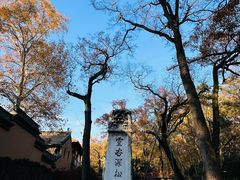 -灵谷景区