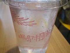 椰子水-麦当劳(南后街店)