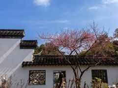 -何园