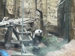 -成都动物园