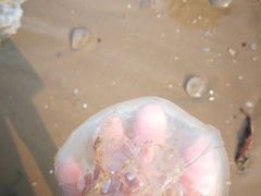 -东戴河风景区-止锚湾