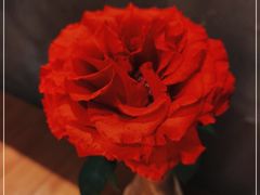 -新贝乐意大利餐厅(苏州中心店)