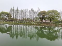 -阳澄湖费尔蒙酒店