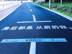-杨梅坑