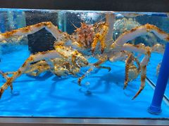 -麦德龙(郑东店)