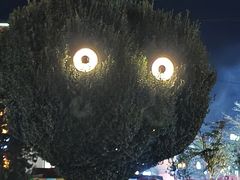 -特克斯八卦城
