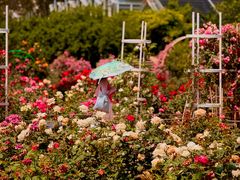 -国家植物园南园