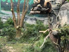 -石排湾郊野公园