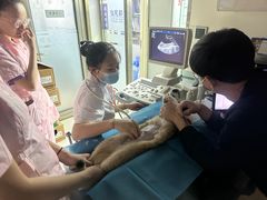 -全心全意连锁动物医院(加州店)