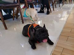 -蜀宴小调·精致家常菜(来福士店)
