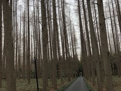 -上海怡沁园度假酒店