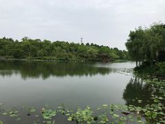 -上海怡沁园度假酒店