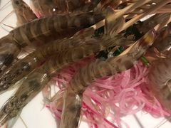 -新花城蟹粉馆(乌鲁木齐店)