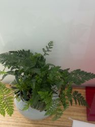 -AIST爱思特医疗美容医院