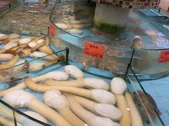 -新丁香海鲜酒店(银海商贸城店)