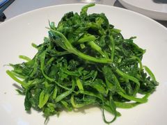清炒豌豆尖-望京辣宴·古法川菜(望京店)