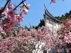 -乌山风景区