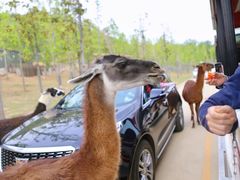 -南京金牛湖风景区