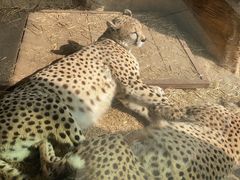 -杭州野生动物世界