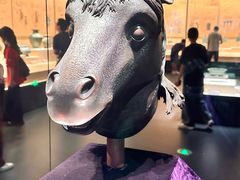 -广西壮族自治区博物馆