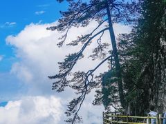 -明月山风景名胜区