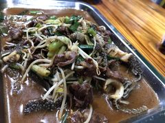 -龙上水现炒生料(柳沙店)