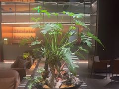 -汤泉良子·沐足·颂钵疗愈·SPA(珠江新城店)