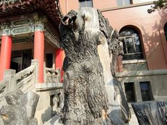 -南京钟山宾馆(江苏省会议中心)