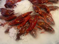 -舞虾小说.涮肉.烧烤(国顺东路店)