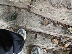 -明堂山风景区