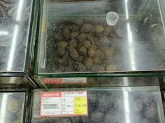 -苏州蜜字牌蜜饯(东环店)