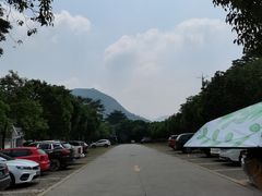 -清溪森林公园