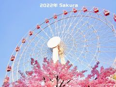 -花博汇(知音花月夜)