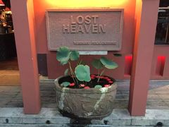 -花马天堂云南餐厅 Lost Heaven(外滩店)