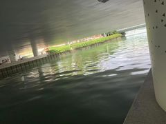 -后襄河公园