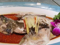 -悦福瑞酒楼(西影路店)