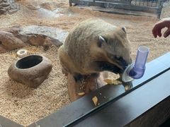 -昆明大悦城未来动物城(螺蛳湾中心店)
