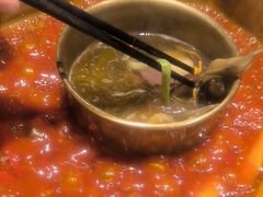 -蜀九香火锅(玉林店)