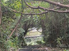 -燕晗山郊野公园