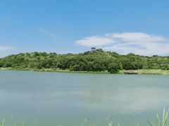-大青沟风景区
