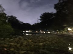 -荔湾湖公园