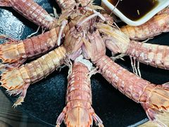 -鲁前海沿儿