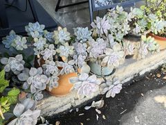 -和顺古镇